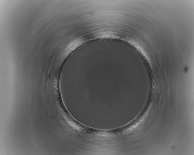 X0000095540881200712211345