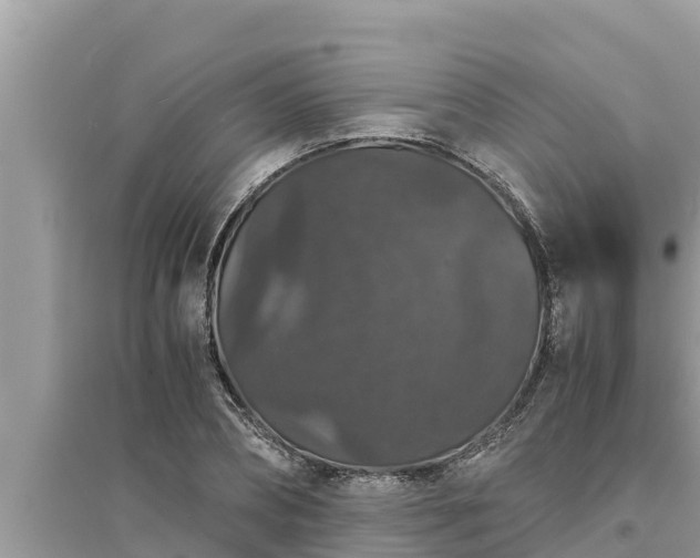 X0000095540882200712211345