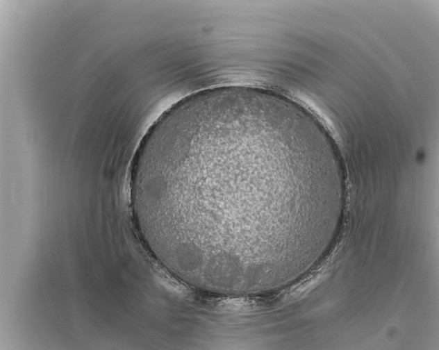 X0000095540883200712211345