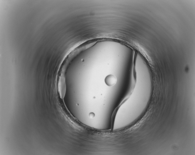 X0000095540884200712211345