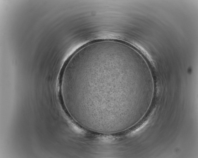 X0000095540885200712211345