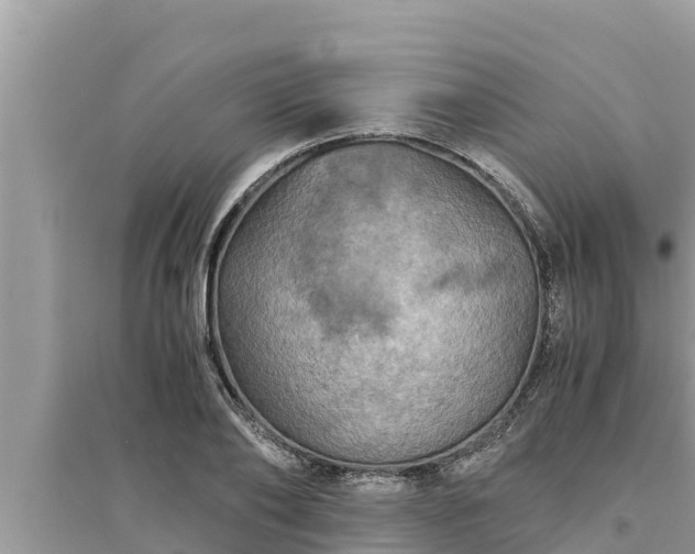 X0000095540886200712211345