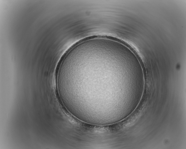 X0000095540887200712211345