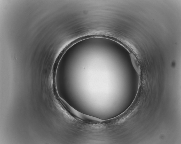 X0000095540888200712211345