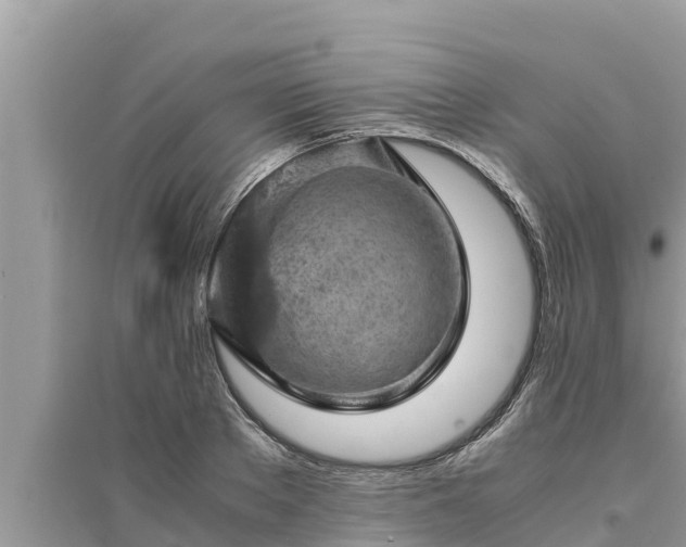 X0000095540889200712211345