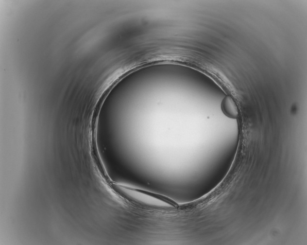 X0000095540890200712211345