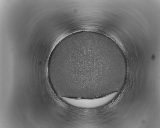 X0000095540891200712211345