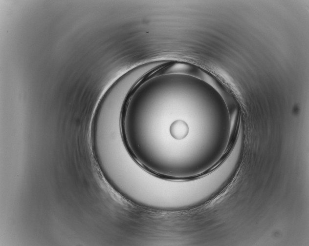 X0000095540892200712211345