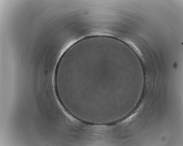 X0000095540893200712211345