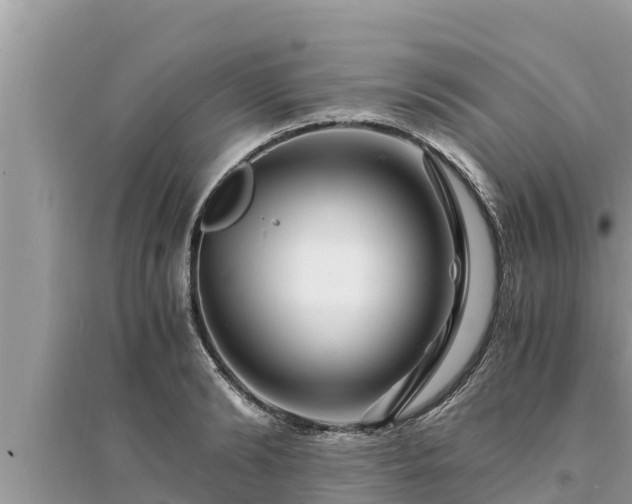 X0000095540894200712211345