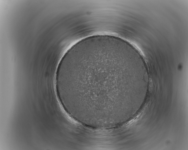 X0000095540895200712211345