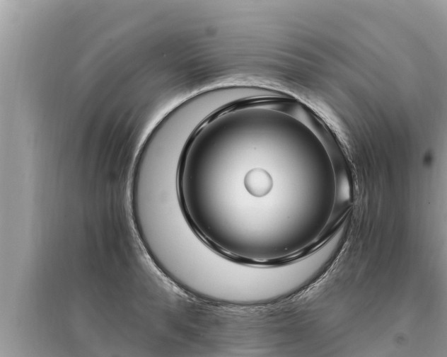 X0000095540896200712211345