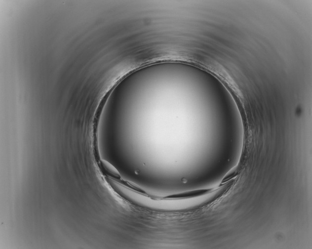 X0000095540898200712211345