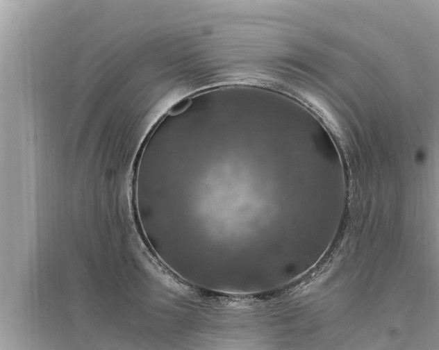 X0000095540899200712211345