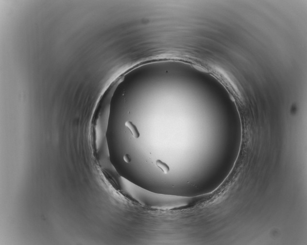 X0000095540900200712211345