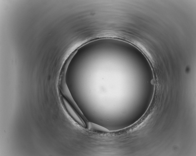 X0000095540901200712211345