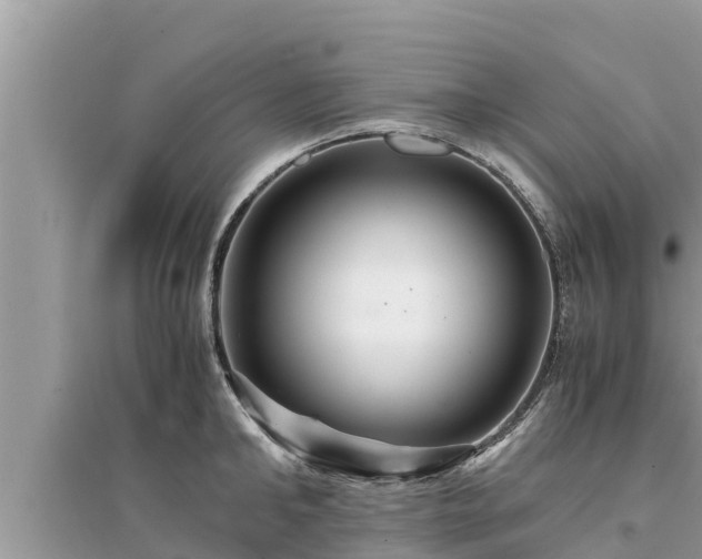 X0000095540902200712211345