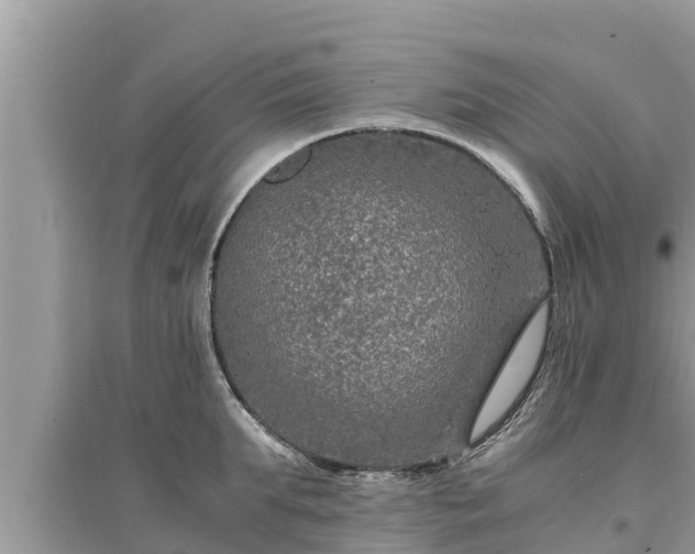 X0000095540903200712211345