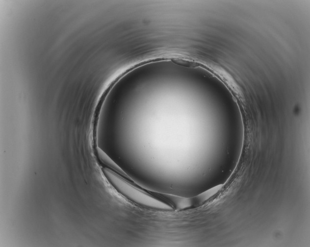 X0000095540904200712211345