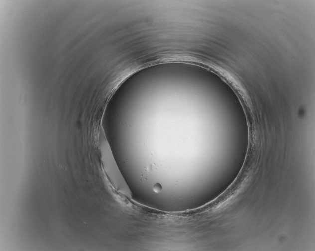 X0000095540905200712211345