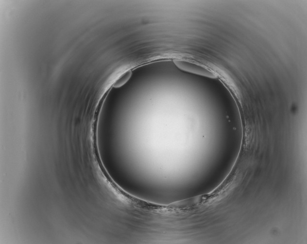 X0000095540906200712211345