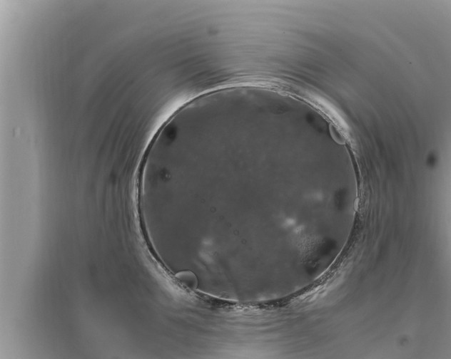 X0000095540907200712211345