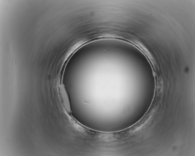 X0000095540909200712211345