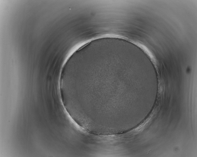 X0000095540910200712211345