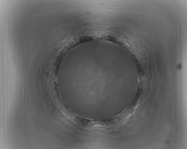 X0000095540913200712211344