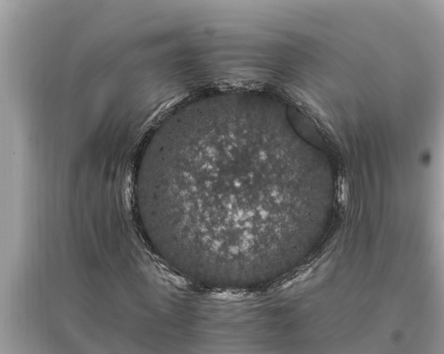 X0000095540915200712211344