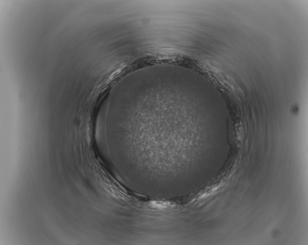 X0000095540916200712211344