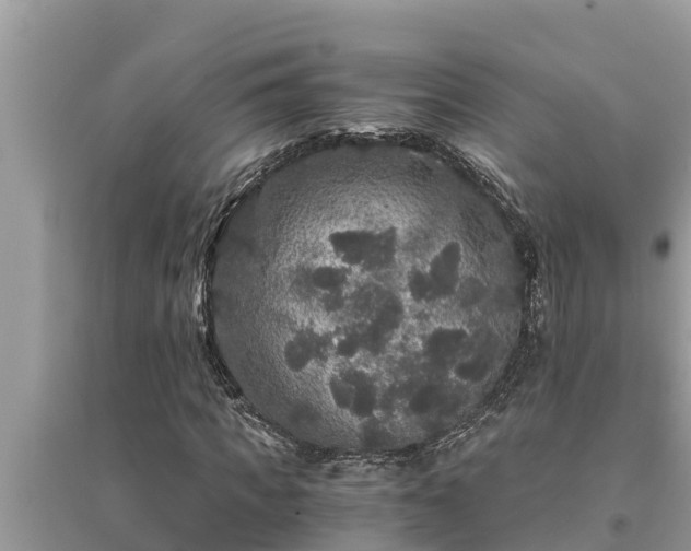 X0000095540917200712211344