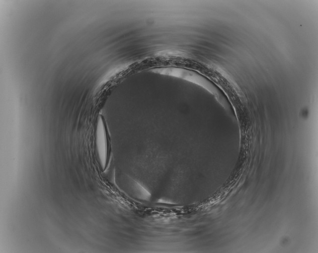 X0000095540919200712211344