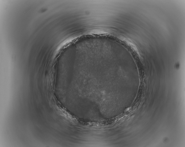 X0000095540920200712211344