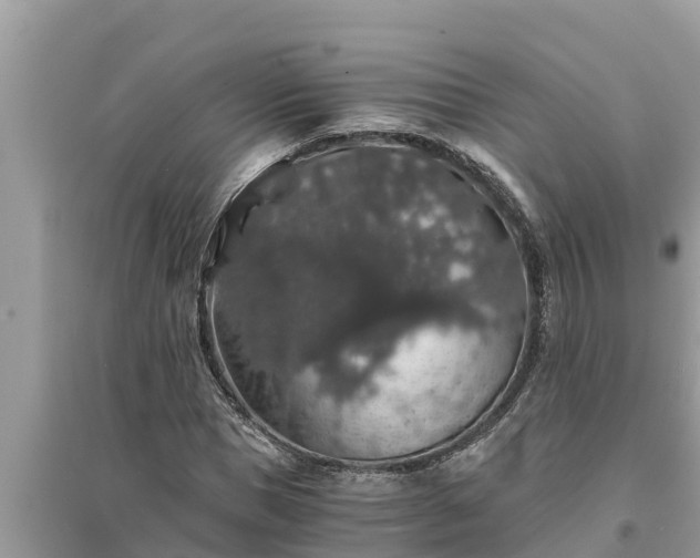 X0000095540921200712211344