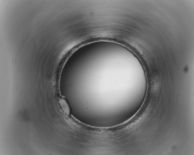 X0000095540922200712211344