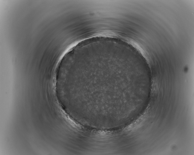 X0000095540923200712211344