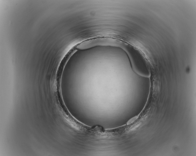 X0000095540924200712211344