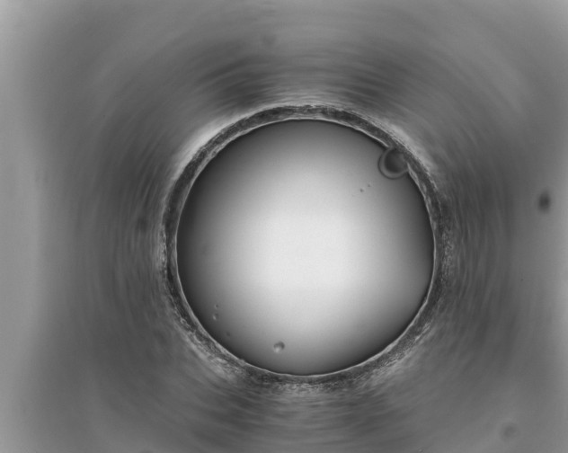 X0000095540927200712211344