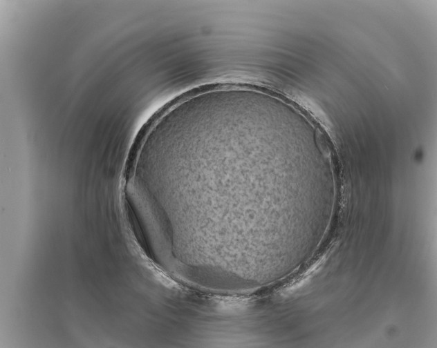 X0000095540928200712211344