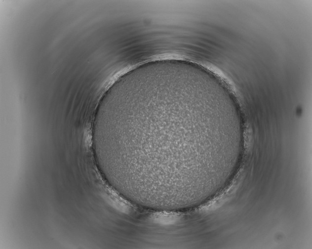 X0000095540929200712211344