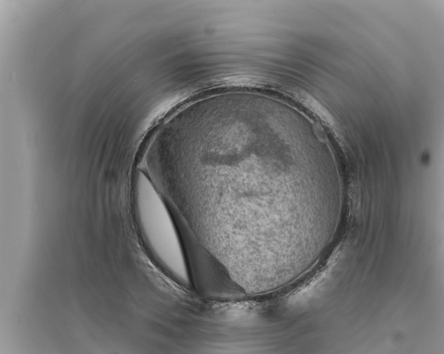 X0000095540930200712211344