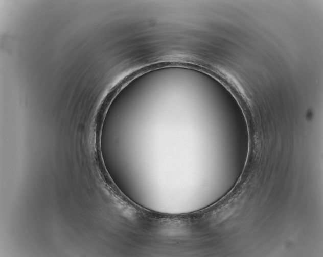 X0000095540931200712211344