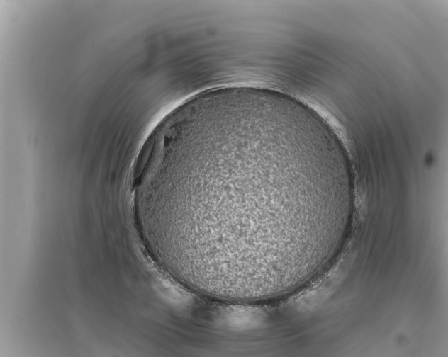 X0000095540933200712211344