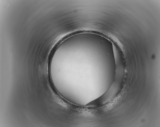 X0000095540934200712211344