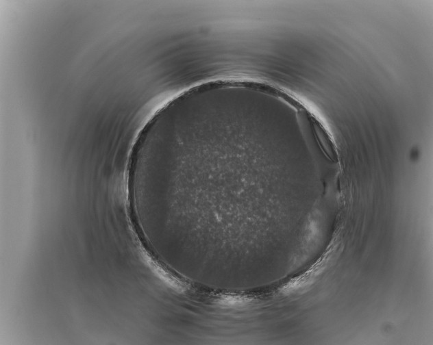 X0000095540935200712211344