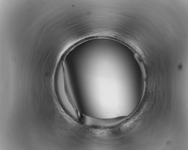 X0000095540936200712211344