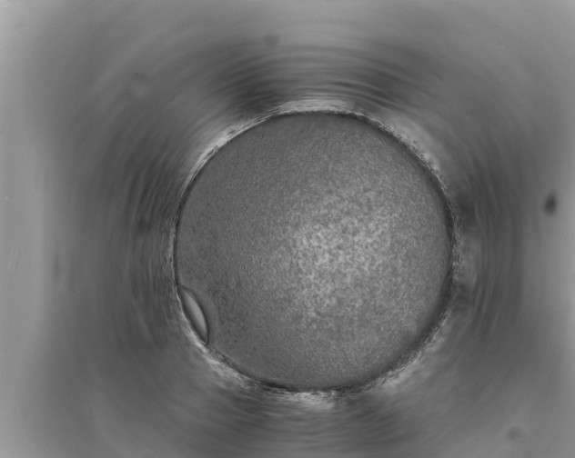 X0000095540937200712211344