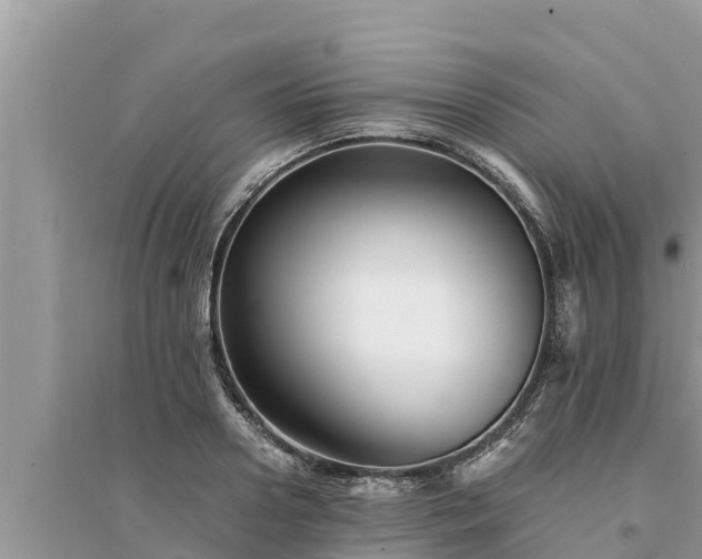 X0000095540938200712211344