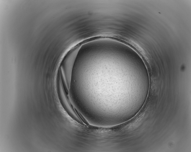 X0000095540939200712211344